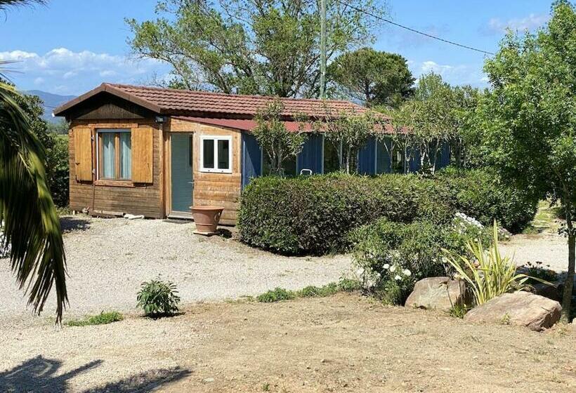 Bungalow De 2 Chambres Avec Jardin Clos Et Wifi A Roquebrune Sur Argens