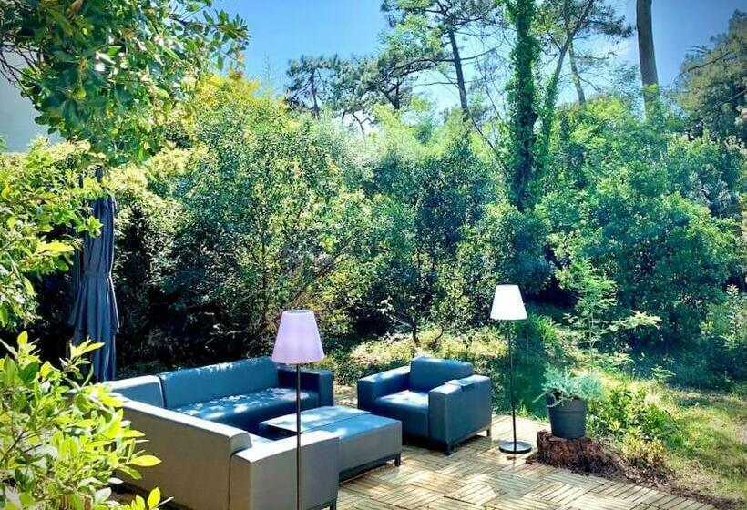 Coeur Cap Ferret Vacances Sans Voiture!