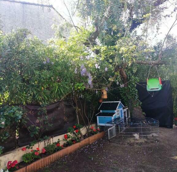 Côte D Azur Antibes