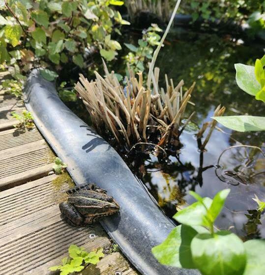 La Maison Bleue De Husseau Ancienne Ferme Semi Troglodytique 18e Siècle
