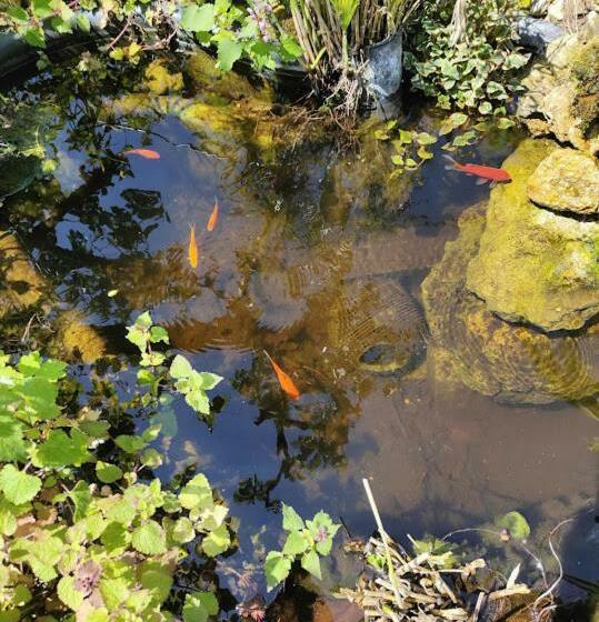 La Maison Bleue De Husseau Ancienne Ferme Semi Troglodytique 18e Siècle