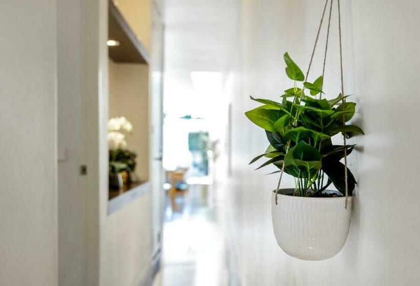 St Kilda Style   Stunning 3 Bedroom House