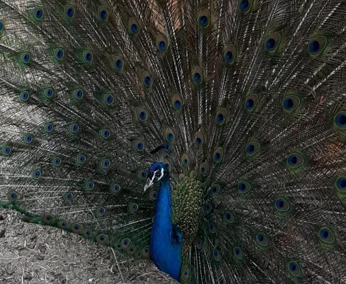 Villa Marrackech Sbai