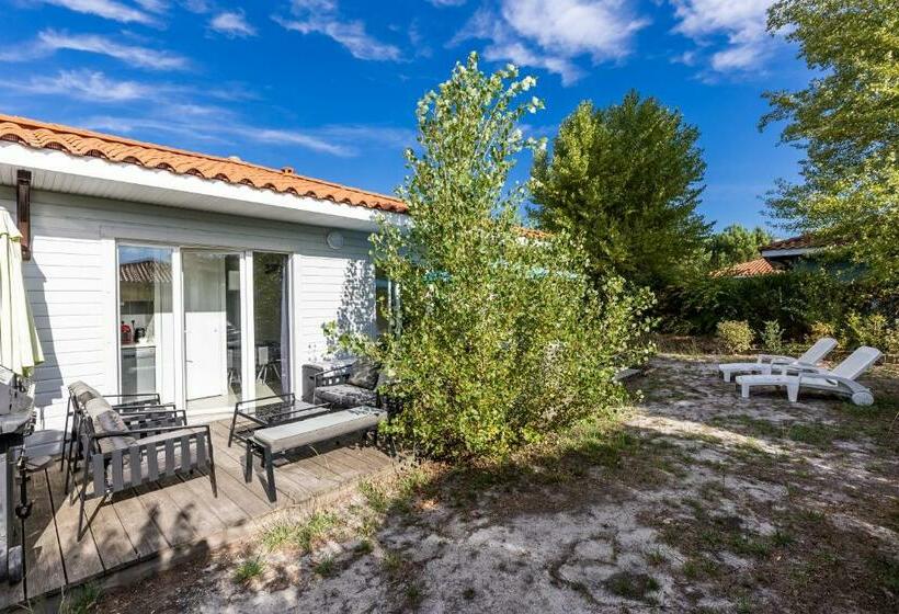 Chalet Bois Lac De Biscarrosse