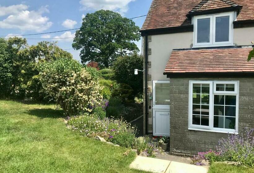 Charming Modernized Country Cottage Near Mere, Wiltshire