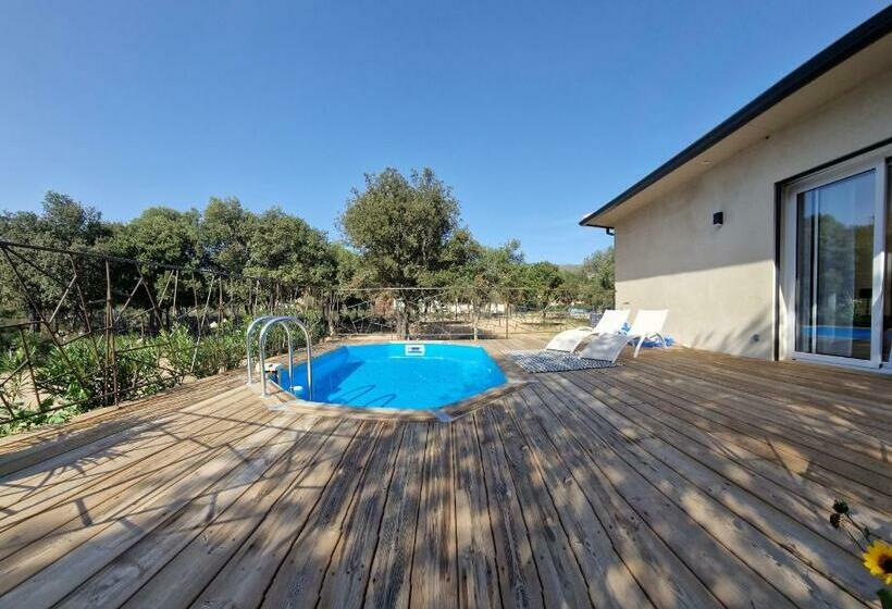Domaine U Filanciu, Maison Ghjulia Avec Piscine Centre Corse