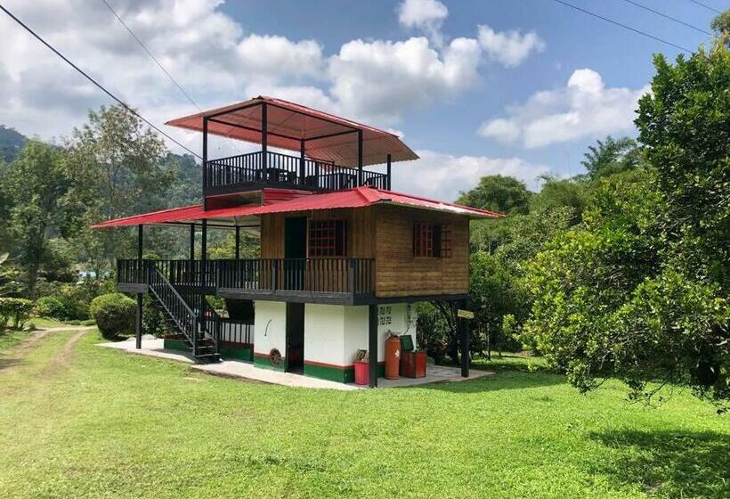 Cabaña Tipo Glamping En Finca Cafetera Con Zonas Verdes, Avistamiento De Aves, Paisaje Cafetero