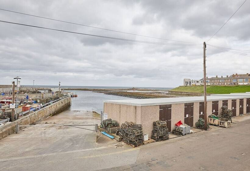 Host Stay The Plaice