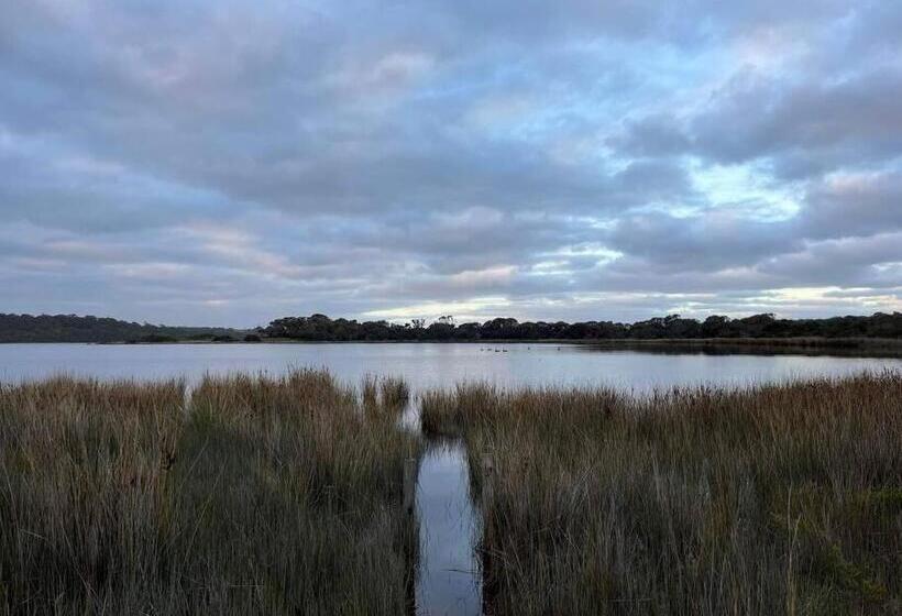 Paddy S Shack The Ultimate Tassie Shack Experience