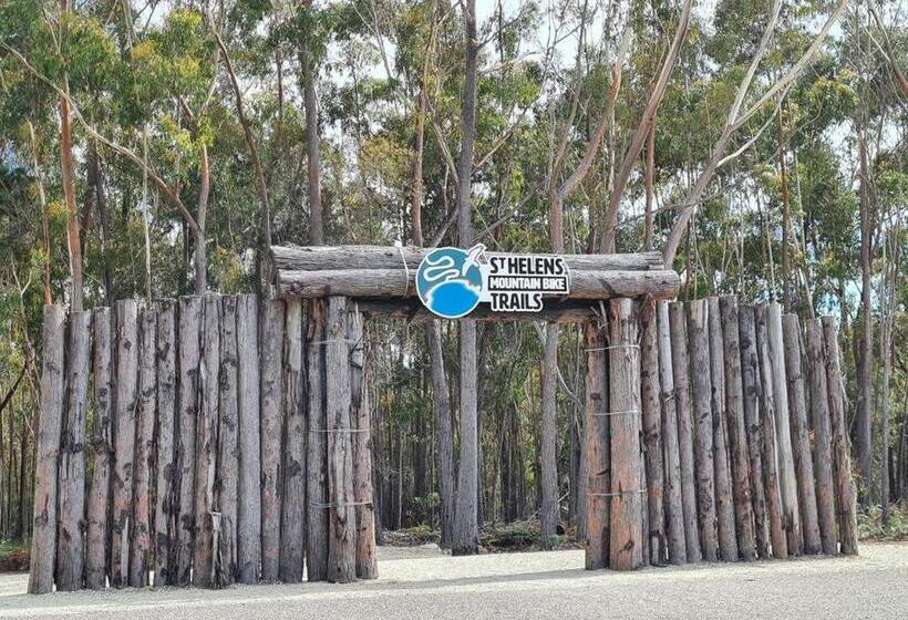 Paddy S Shack The Ultimate Tassie Shack Experience