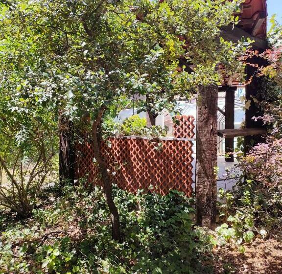 Mas Vallcrosa Studio Calme Et Confortable Avec Piscine