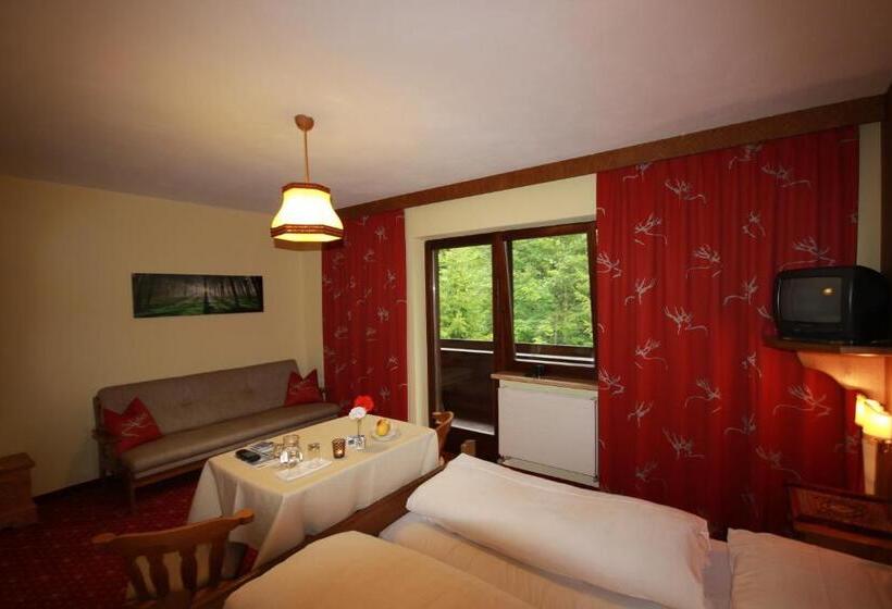Bed and Breakfast Pension Mühlbachhof