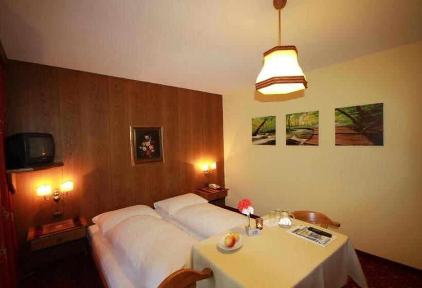 Bed and Breakfast Pension Mühlbachhof