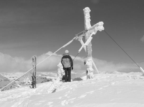 Отель Alpenfrieden