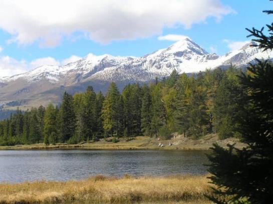 Отель Alpenfrieden