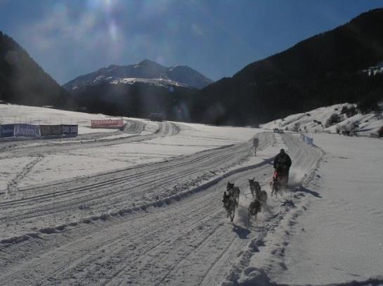 Отель Alpenfrieden