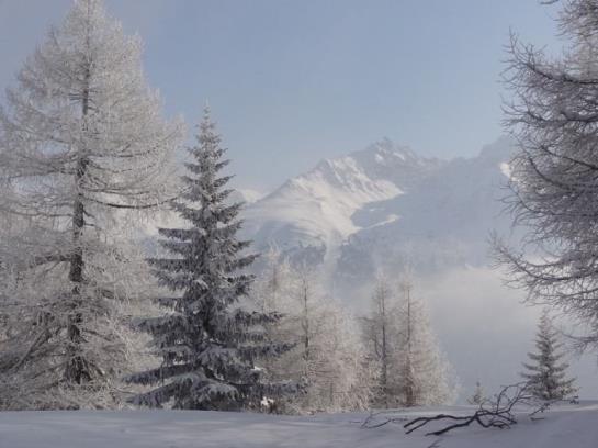 Отель Alpenfrieden