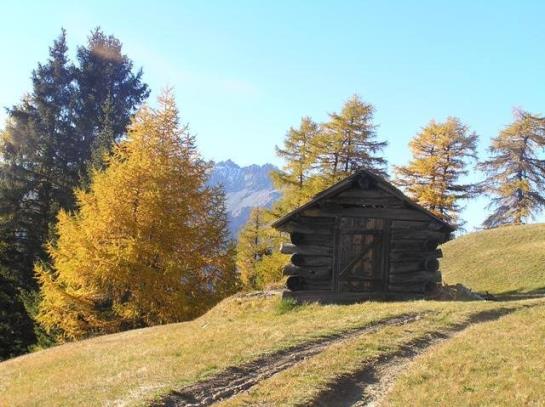 Отель Alpenfrieden