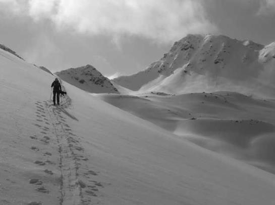 Отель Alpenfrieden