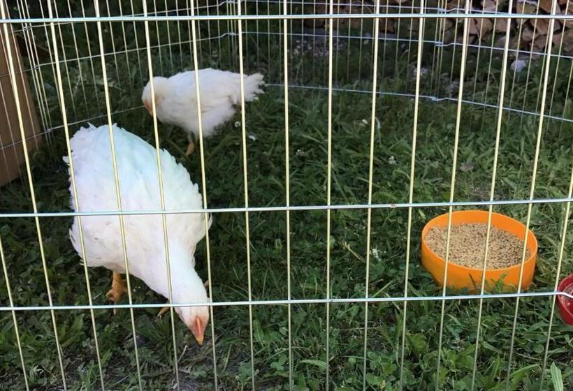 هتل Apart Bauernhof ,,becka Hof´´