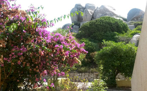 هتل Residence Baia Santa Reparata