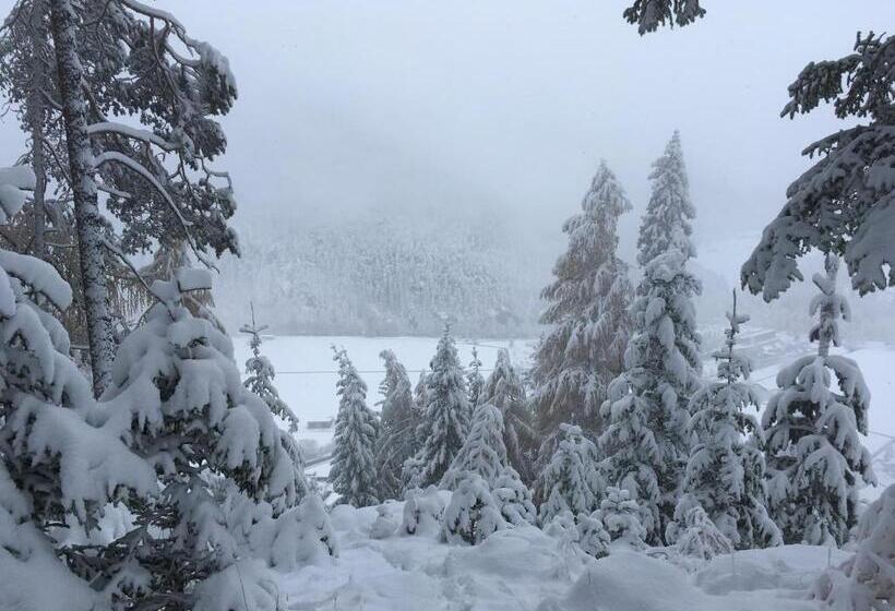 בית מלון כפרי Burgstein   Alpin & Lifestyle