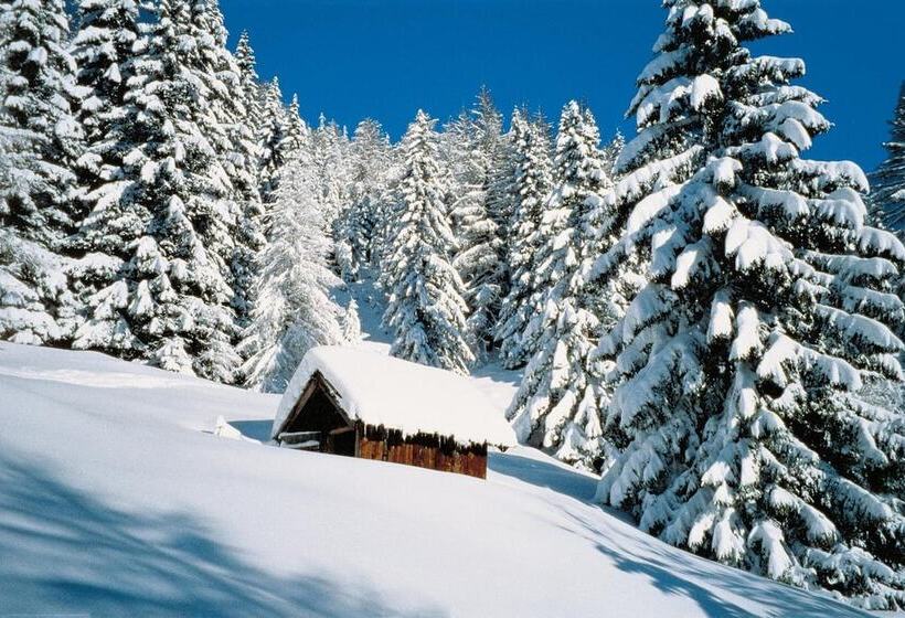 בית מלון כפרי Falken