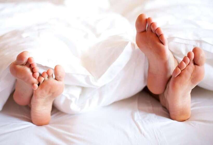 בית מלון כפרי Falken