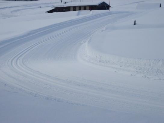 בית מלון כפרי Ferienwohnungen Mittermoos