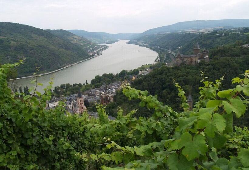 בית מלון כפרי Landgasthaus Rosenhof