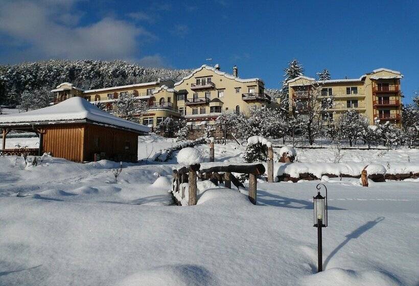 ホテル Mirabell Alpine Garden Resort & Spa