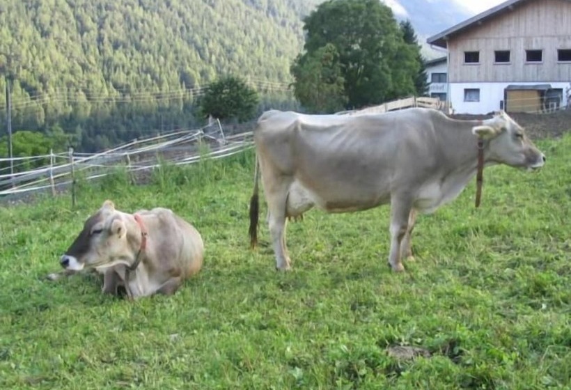 בית מלון כפרי Pension Grubenhof
