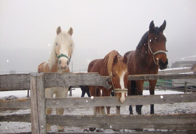 בית מלון כפרי Pension Grubenhof