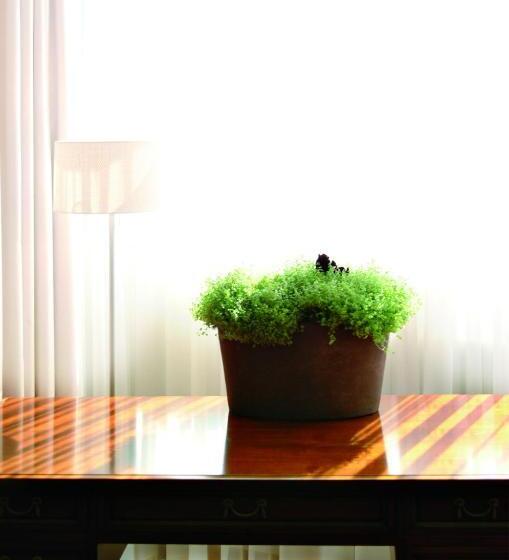 호텔 Restaurant Lilie