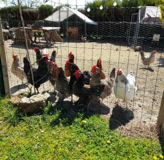 5km De Beauval, Gîte L étoile Des Châteaux