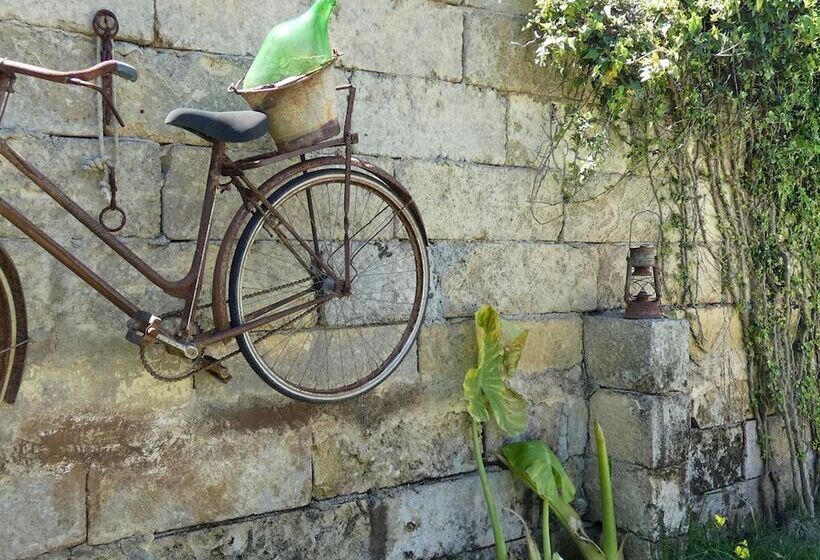 La Vigna Salentina   Con Giardino E Piscina Privata