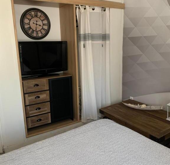 Les Dahlias Appartement 4 Personnes Jacuzzi Barbecue Jardin Arboré Climatisé