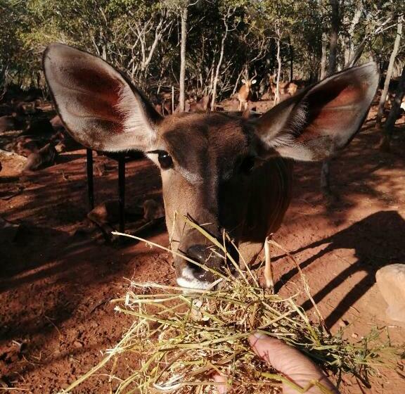 Luxury Room   Sielevreugde
