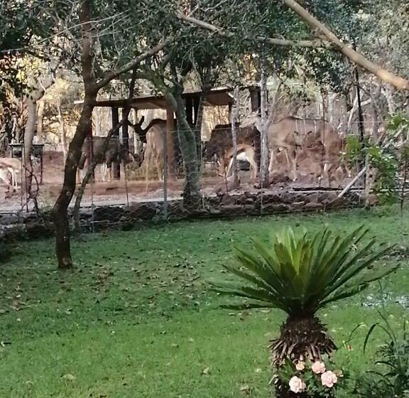 Luxury Room   Sielevreugde