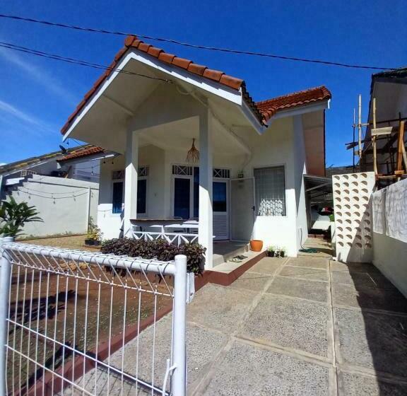 Shambala Palm Beach Anyer