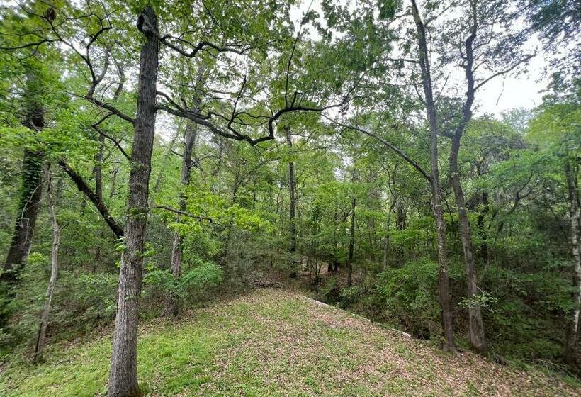 2 Bdrm Treehouse Hideout  Lake Conroe With Boat Ramp