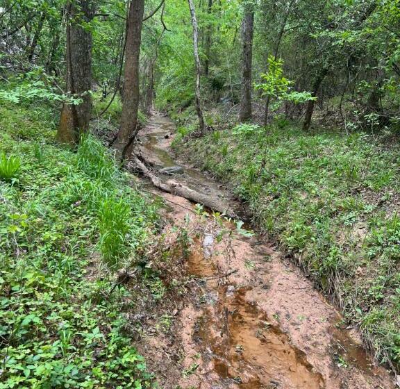 2 Bdrm Treehouse Hideout  Lake Conroe With Boat Ramp