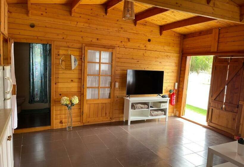 Agradable Mini Casa De Madera Con Jardín Amplio