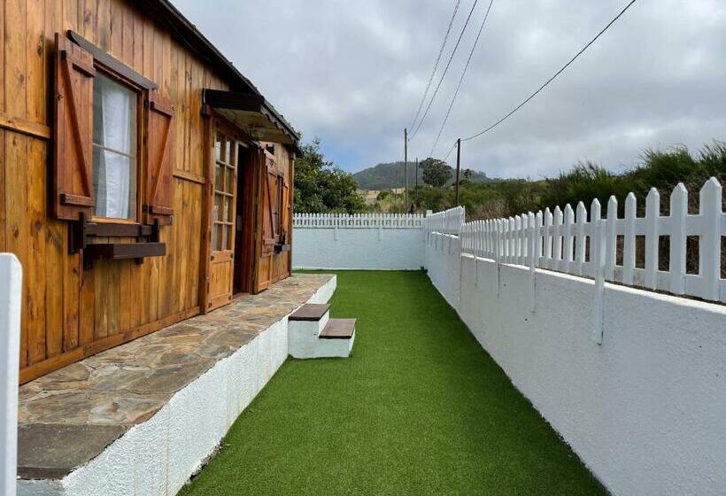 Agradable Mini Casa De Madera Con Jardín Amplio