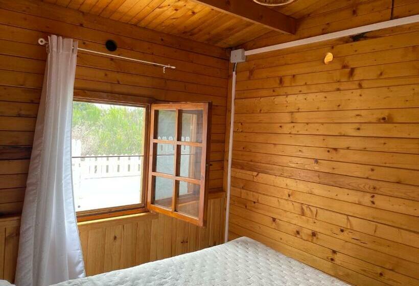 Agradable Mini Casa De Madera Con Jardín Amplio