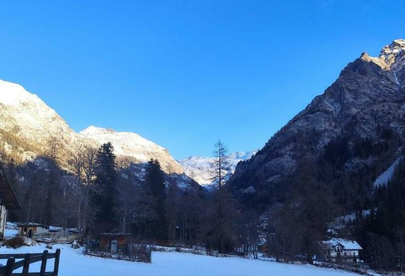 Appartamento Gressoney Saint Jean    I Larici