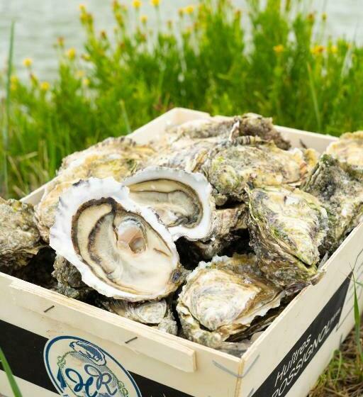 Charmant Studio Plein Centre Ville