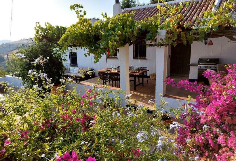 Finca El Sueño Andaluz