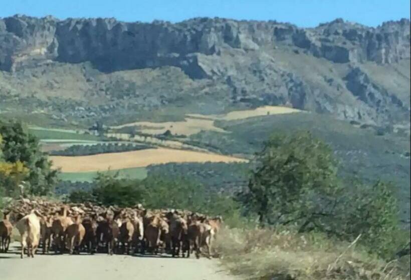 Finca El Sueño Andaluz