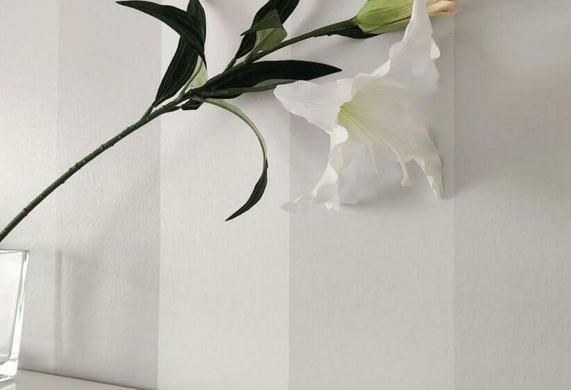 Kaunis Ja Tilava Kaksio